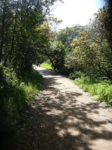 Lake Chabot Trail - California | AllTrails.com