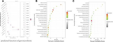 Frontiers Fecal And Serum Metabolomic Signatures And Gut Microbiota