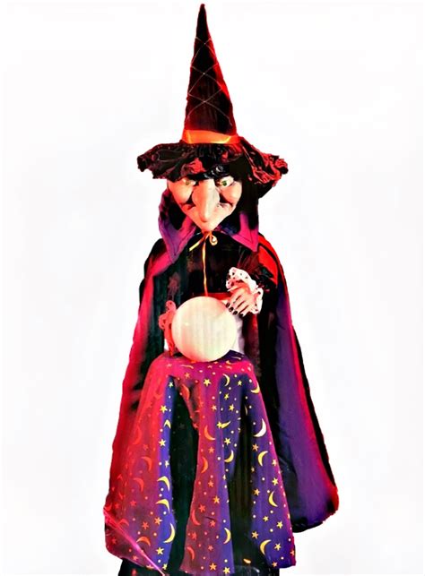 Large Fortune Teller Witch | Spirit Halloween Wikia | Fandom