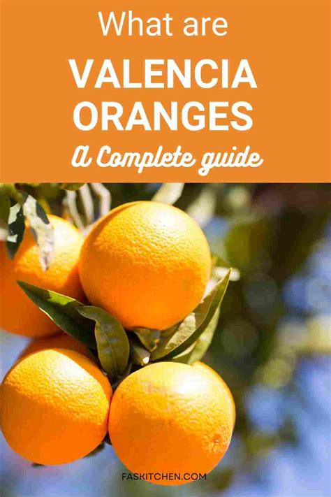 Valencia Oranges 101: Benefits, How To Use, Buy, Store | Valencia ...