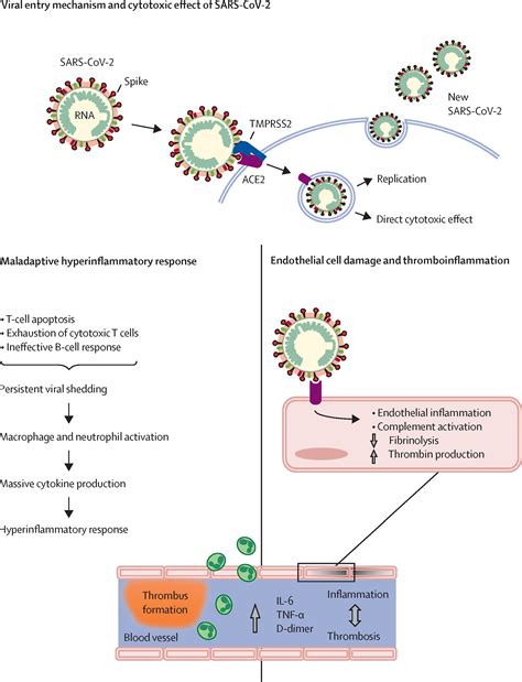 Home As The New Frontier For The Treatment Of COVID 19 The Case For