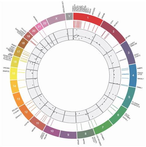 Circular Map Of Genomic Distribution Among Differentially Methylated