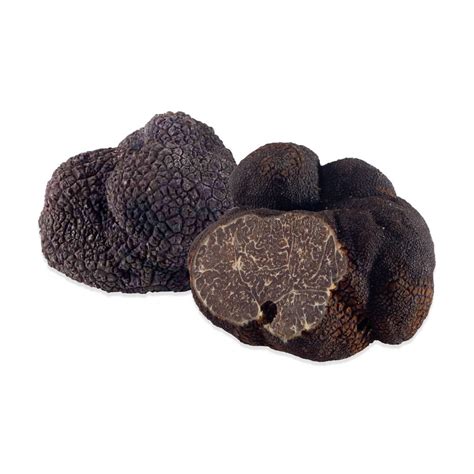 Fresh French Black Winter Perigord Truffles Marx Foods