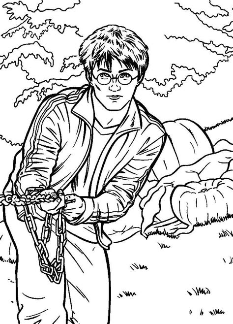 Desenhos De Harry Potter Para Colorir Pintar E Imprimir