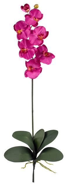 Phalaenopsis Silk Orchid Flower With Leaves Stems Tropical