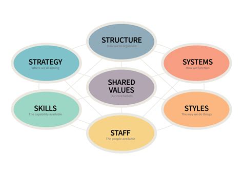 McKinsey 7 S Model Mutomorro