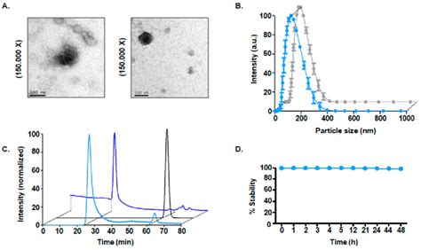 Physicochemical Characterization Of M Tc Exo A Transmission