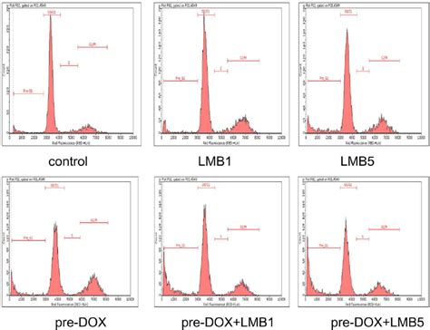 Flow Cytometry Analyses Of Cell Cycle And Apoptosis In A549 Cells After