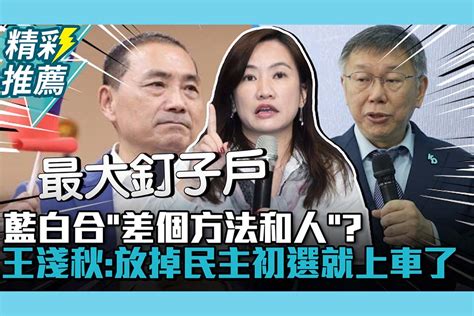 【cnews】藍白合「差個方法和人」？王淺秋：放掉民主初選就上車了 匯流新聞網