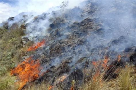 Incendio Forestal Activo En Distrito Ancashino De Huachis Daña Pastos