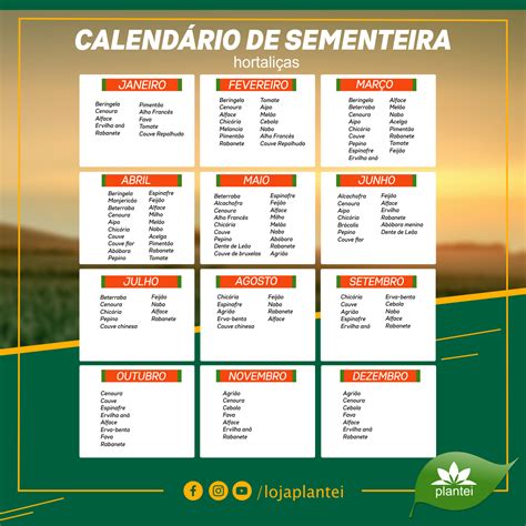 Para te ajudar seu plantio disponibilizamos esse calendário de