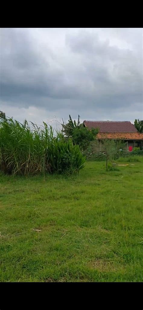 Tanah Di Rancaekek Bandung RuMahBU