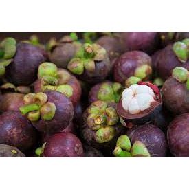 Jual Buah Manggis Fresh Premium Kg Shopee Indonesia