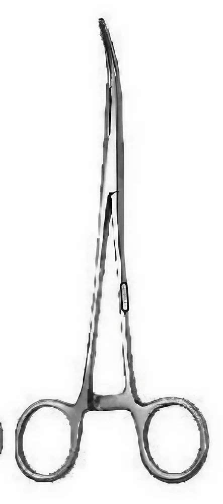 Artery Forceps Surgical Artery Forceps Latest Price Manufacturers