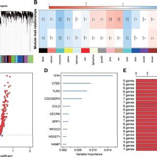 The Predictive Ability Of The Gene Signature In The Validation