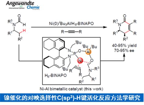 杉杉 2022091045 化学空间 Chem Station