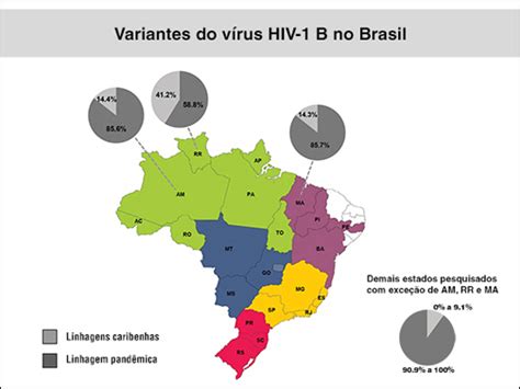 Estudos Da Fiocruz Investigam Trajet Ria Do Hiv Pelo Mundo Ag Ncia