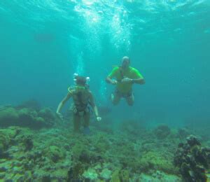 Bermuda Snorkeling Tours