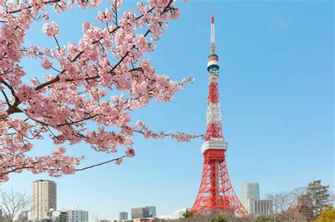 粉紅盛宴來襲 2019東京六大賞櫻景點網美打卡必訪 生活 中時電子報