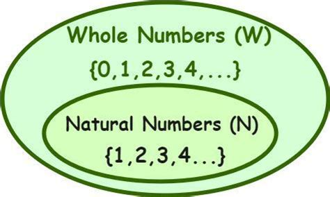 Properties Of Whole Numbers With Solved Examples