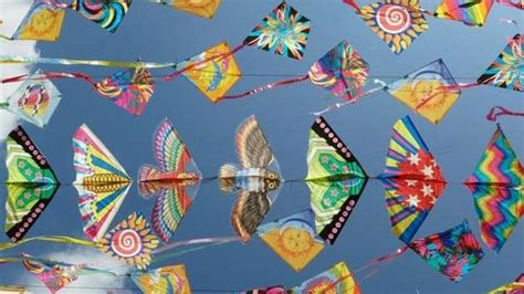 Makar Sankranti 2020: Kite flying is an important aspect of the celebrations, here’s why ...