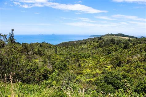 New Zealand in the summer stock image. Image of footpath - 108997317