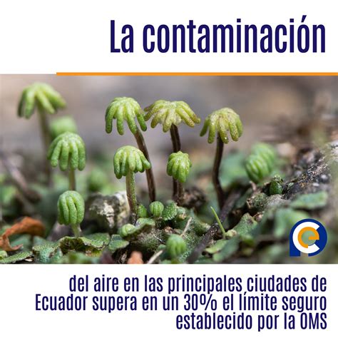 La contaminación del aire en las principales ciudades de Ecuador supera