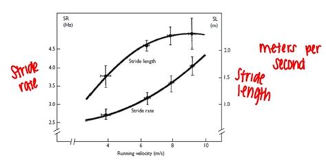 Chapt 1011 Linear And Angular Kinetics Flashcards Quizlet