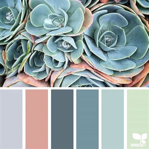 Nature Inspired Color Palettes Next Level Interiors