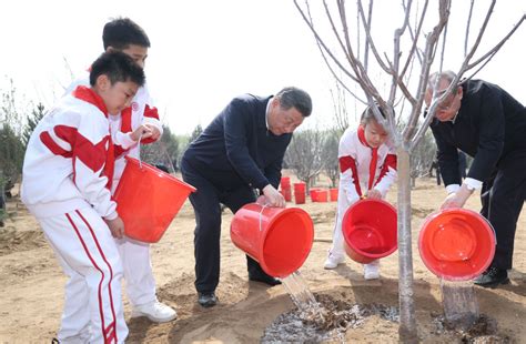 习近平在参加首都义务植树活动时强调 全民植树增绿 共建美丽中国 当代先锋网 政能量