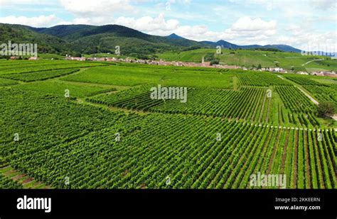 Alsace Wine Region Stock Videos Footage Hd And K Video Clips Alamy