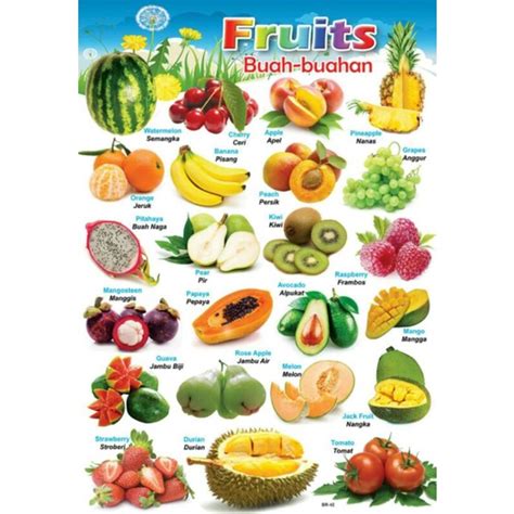 Jual Poster Edukasi Anak Lembaran Poster Buah Buahan Shopee Indonesia