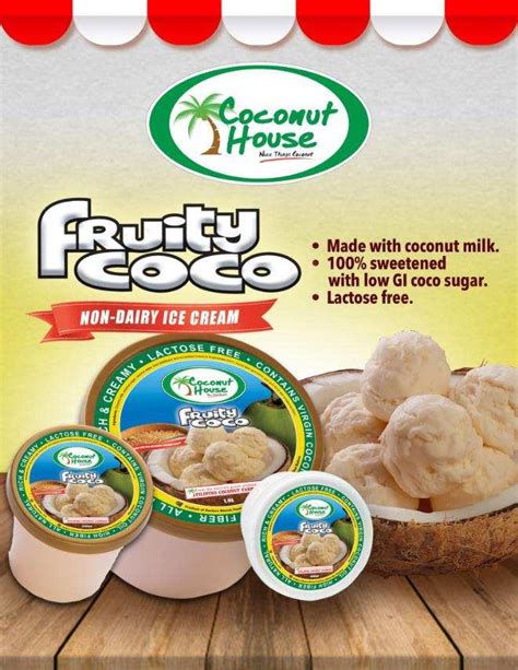 Fruity Coco Ice Cream (Pint) – Tapao Agri Ventures Online Shop