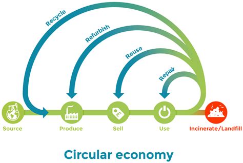 Circular Economy Woodpecker