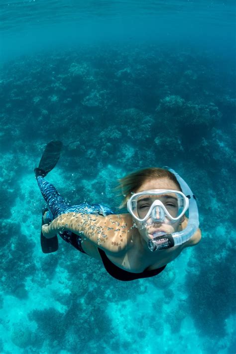 Snorkeling Wallpapers - 4k, HD Snorkeling Backgrounds on WallpaperBat