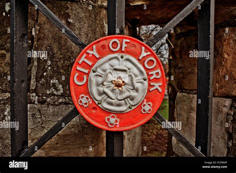 White rose york emblem city hi-res stock photography and images - Alamy