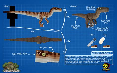 Jurassicraftblueprintvelociraptorbyjurassicraft D8xhuu2