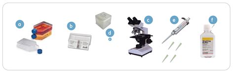 Hemocytometer Uses Procedures Calculations And More LTG