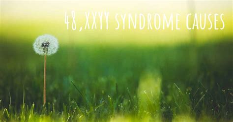 Which Are The Causes Of 48xxyy Syndrome