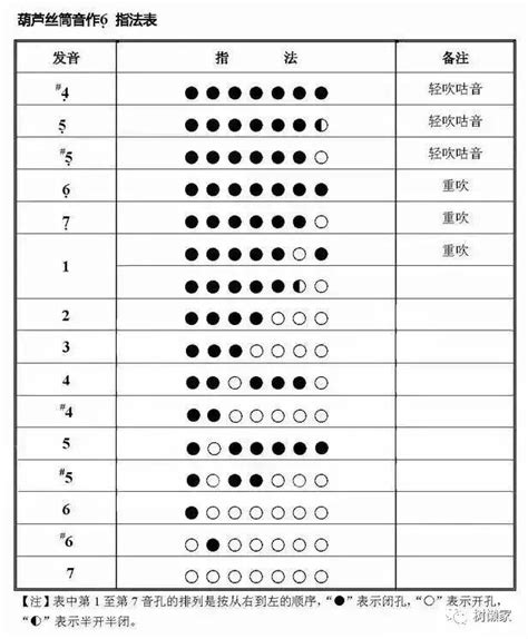 葫蘆絲演奏符號及指法表大全 每日頭條