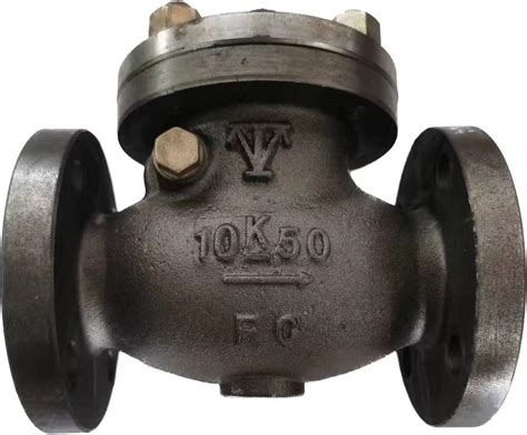 Swing Check Valve Jis F Cast Iron Marine Valve K With High