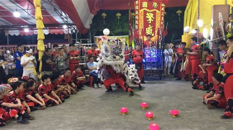 擎威龍獅文化團 Qing Wei Zhoujia Lion Dance Arrived Cai Qing Performance at