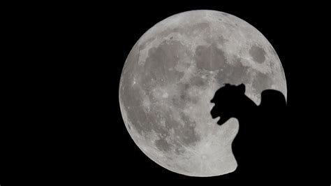 Stunning images of hunter's moon worldwide | Fox News