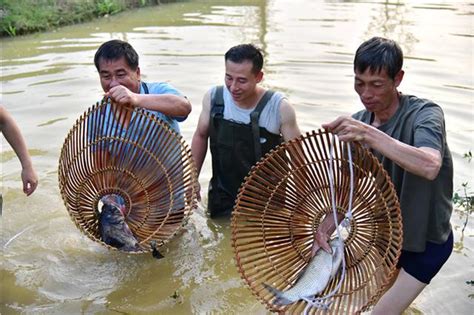 廣東單位團建樂玩農耕項目，捕魚套豬套鴨成為網紅項目 每日頭條