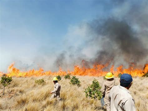 Exhorta Comité Estatal del Manejo del Fuego a evitar incendio forestal.