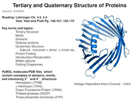 Pdf Protein Structure And Folding Lecture Dokumen Tips