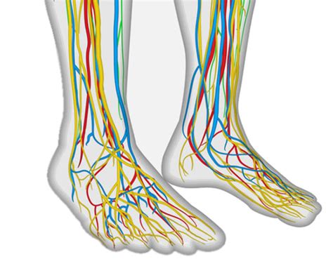 Parestesia u Hormigueo en los pies Qué significa Podoactiva