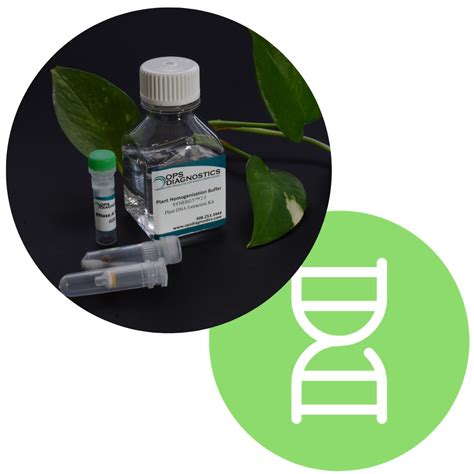 Ctab Protocol For The Isolation Of Dna From Plant Tissues