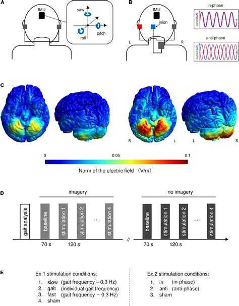 Phase Dependent Modulation Of The Vestibularcerebellar Network Via