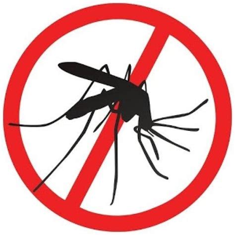 Se va a proceder con el tratamiento anti mosquito en los márgenes del